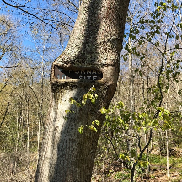 🙂 - Picture 12 of 15